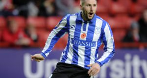 speltips brighton-sheffield wednesday