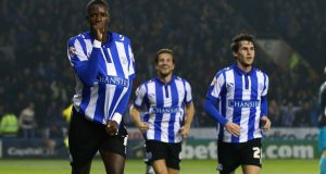 speltips sheffield wednesday brighton